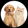 petsdiet Hub